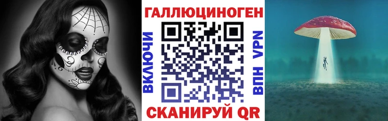 Купить  Павловский Посад  Псилоцибиновые грибы GOLDEN TEACHER 
